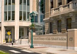 Saint Louis University