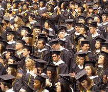 Boston University Trustee Scholarship